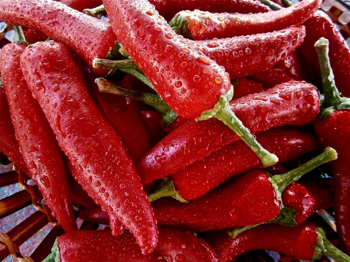Entenda-como-a-Pimenta-pode-salvar-vidas-combater-dores-cronicas-e-ate-prevenir-o-cancer-de-prostata.jpg