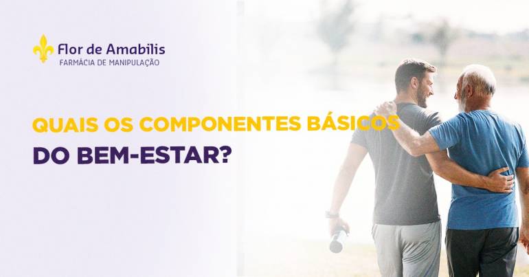 Quais os componentes básicos do bem-estar?